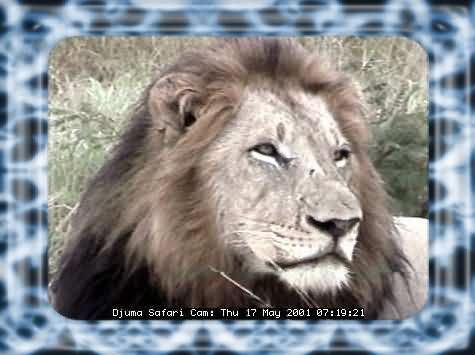 DJUMA-34
