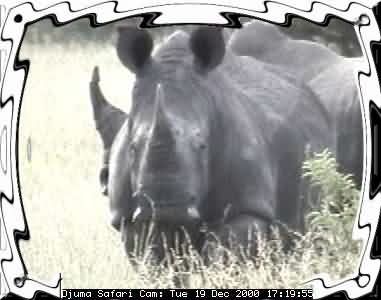 DJUMA-1