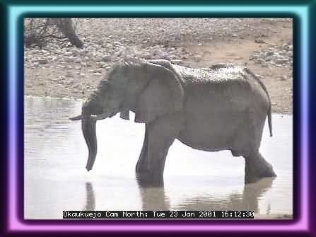 ETOSHA