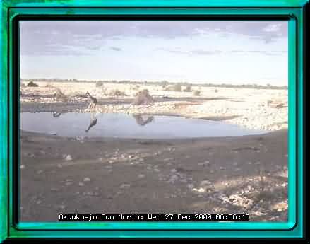 ETOSHA-1