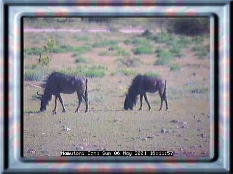 ETOSHA-8