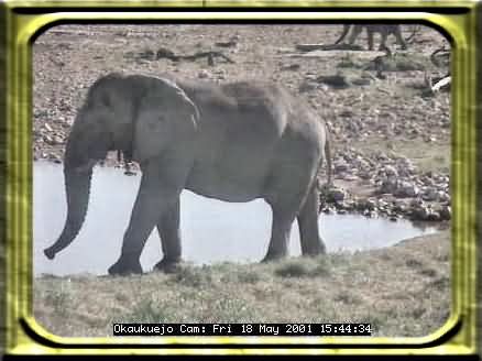 ETOSHA-10