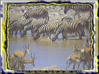 ETOSHA-2