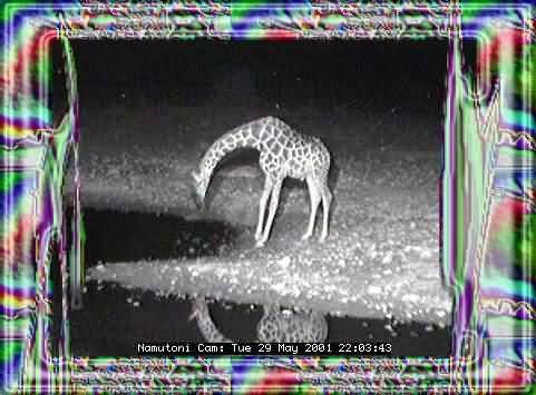 ETOSHA-12