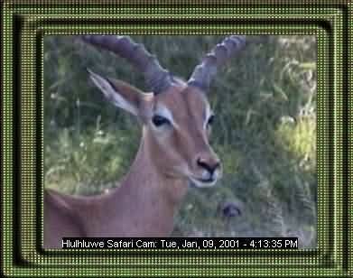 HLUHLUWE-2