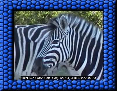 HLUHLUWE-3