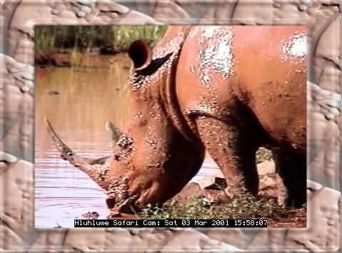 HLUHLUWE-22