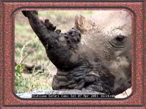 HLUHLUWE-34