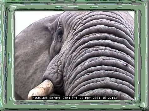 HLUHLUWE-43