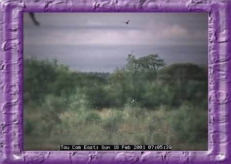 MIX-12