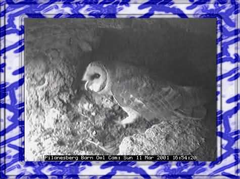 OWL-14